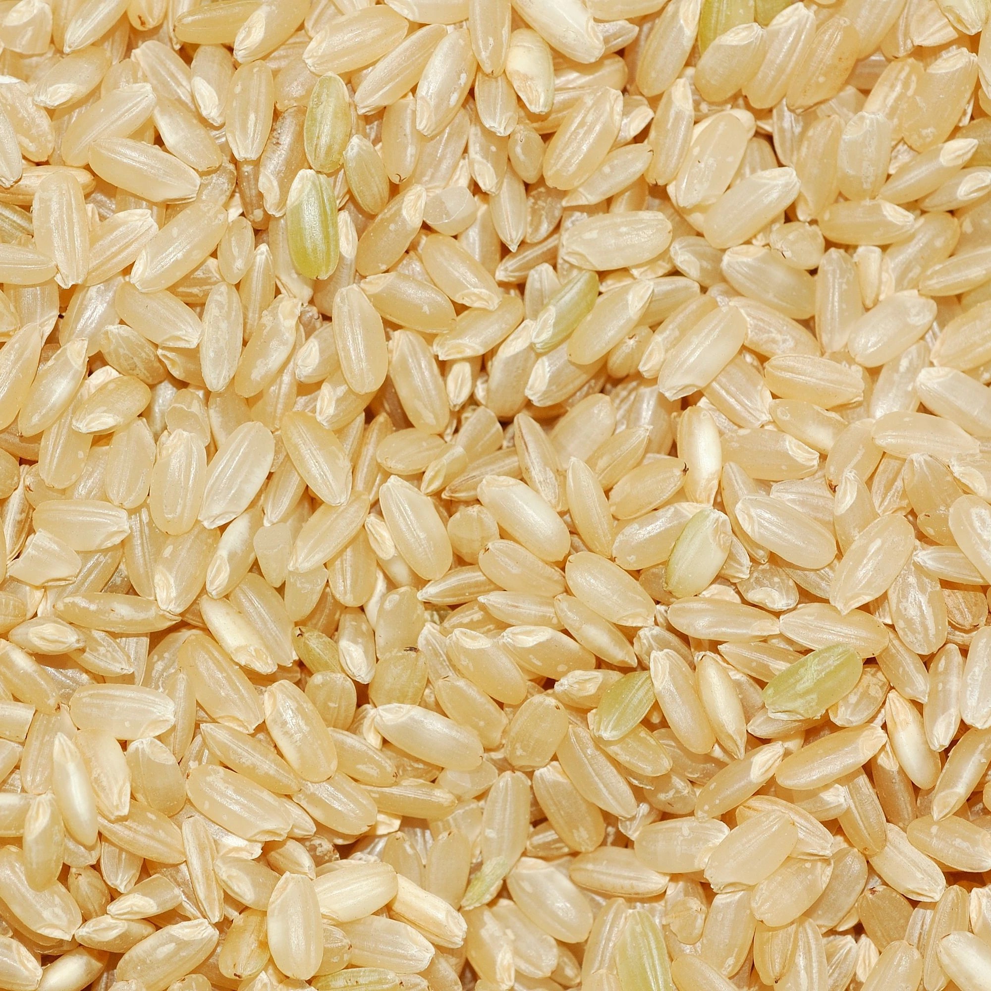 Brown Rice