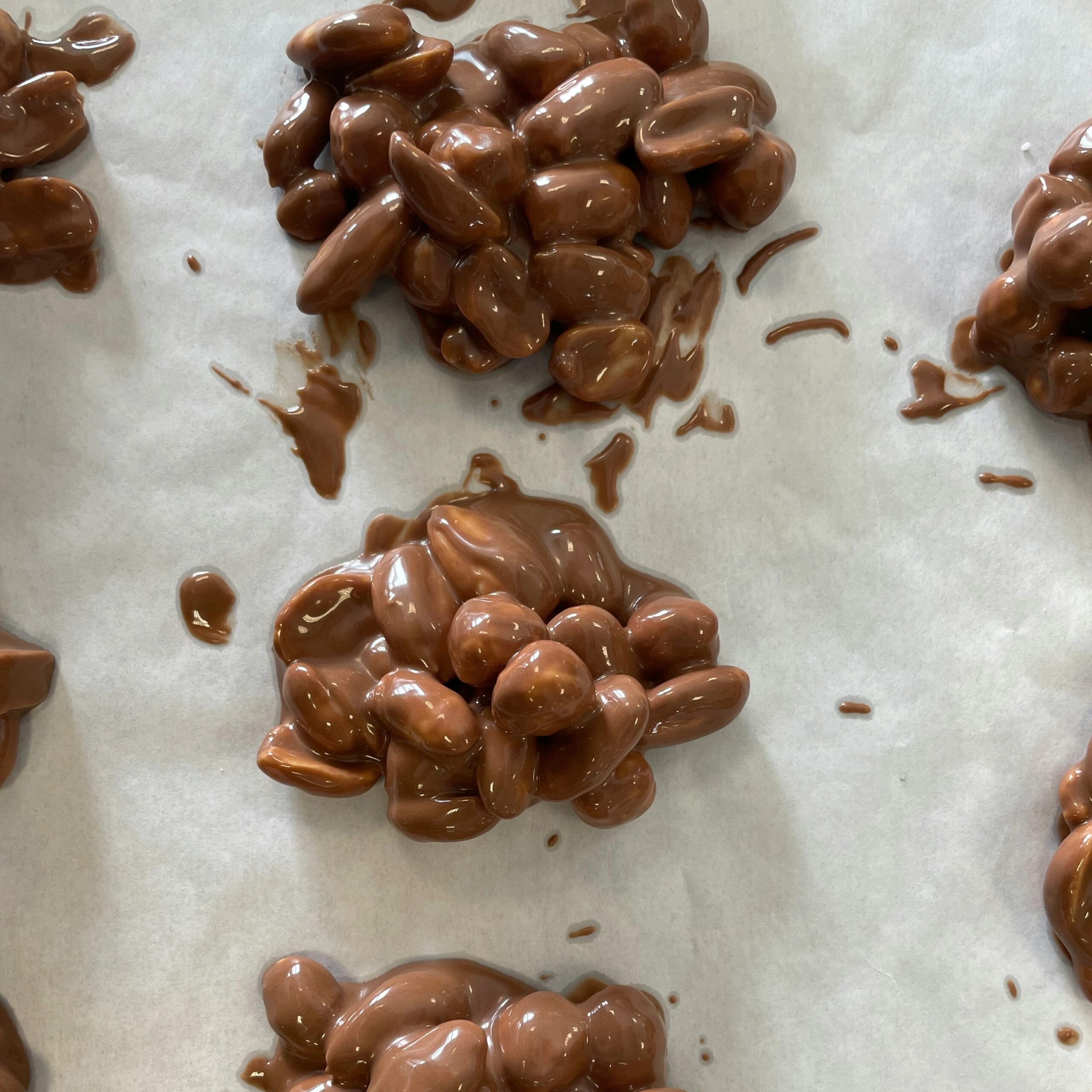Chocolate Covered Almonds
