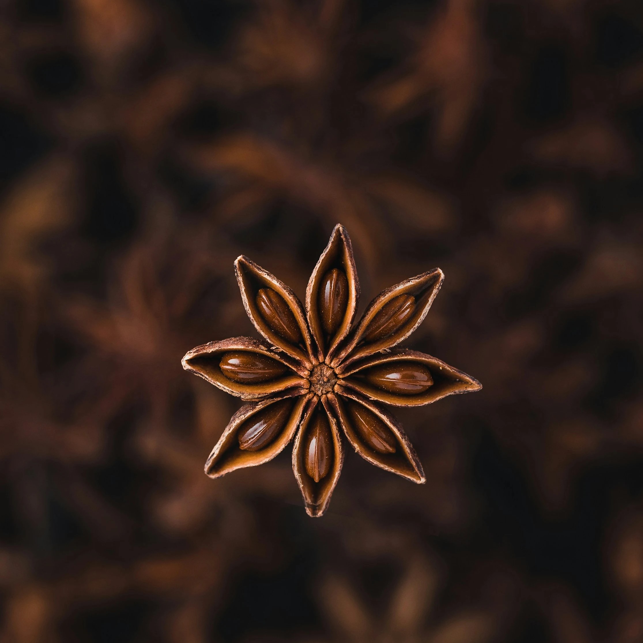 Star-Anise