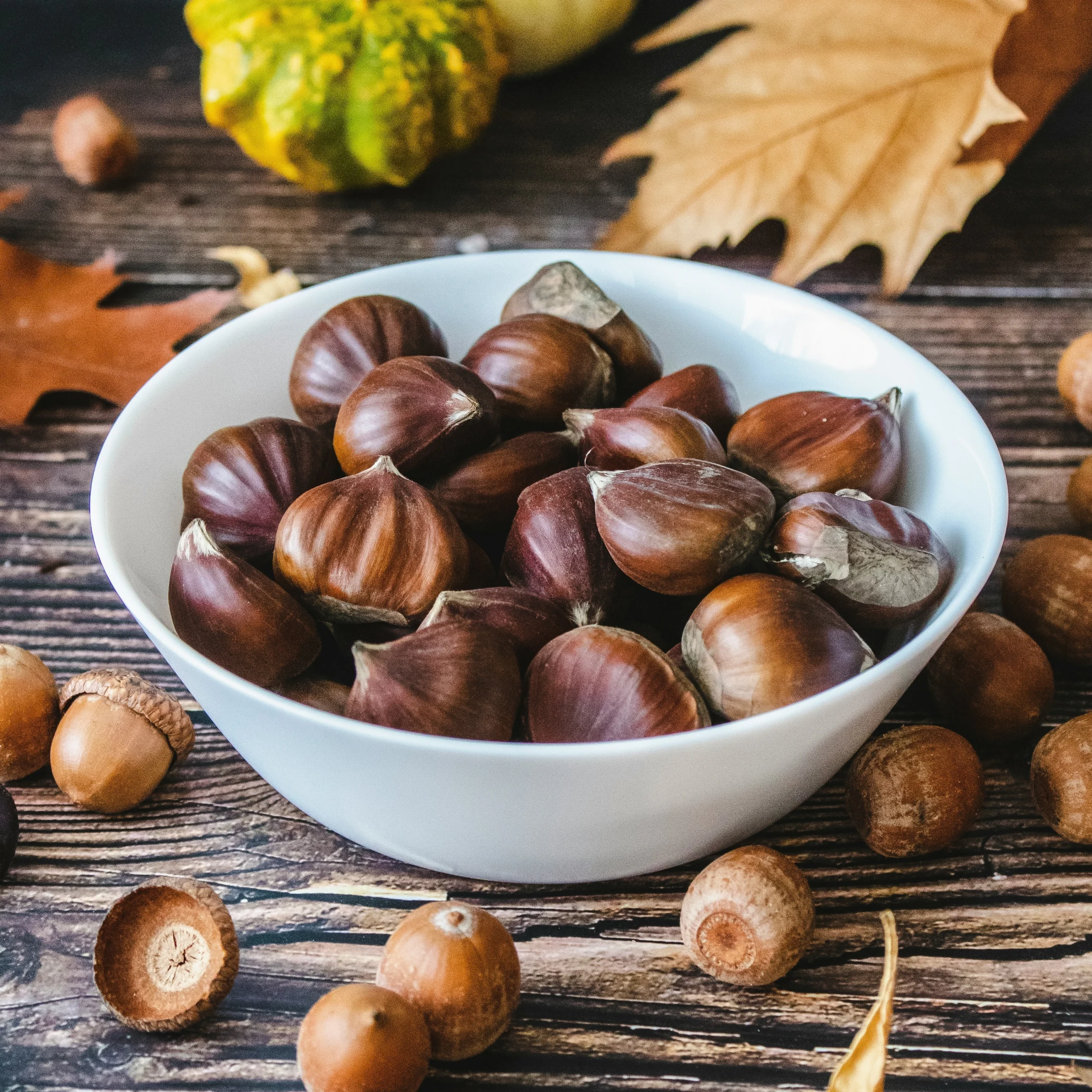 hazelnut